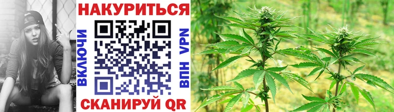 Бошки Шишки LSD WEED  Купить закладки  Тавда 